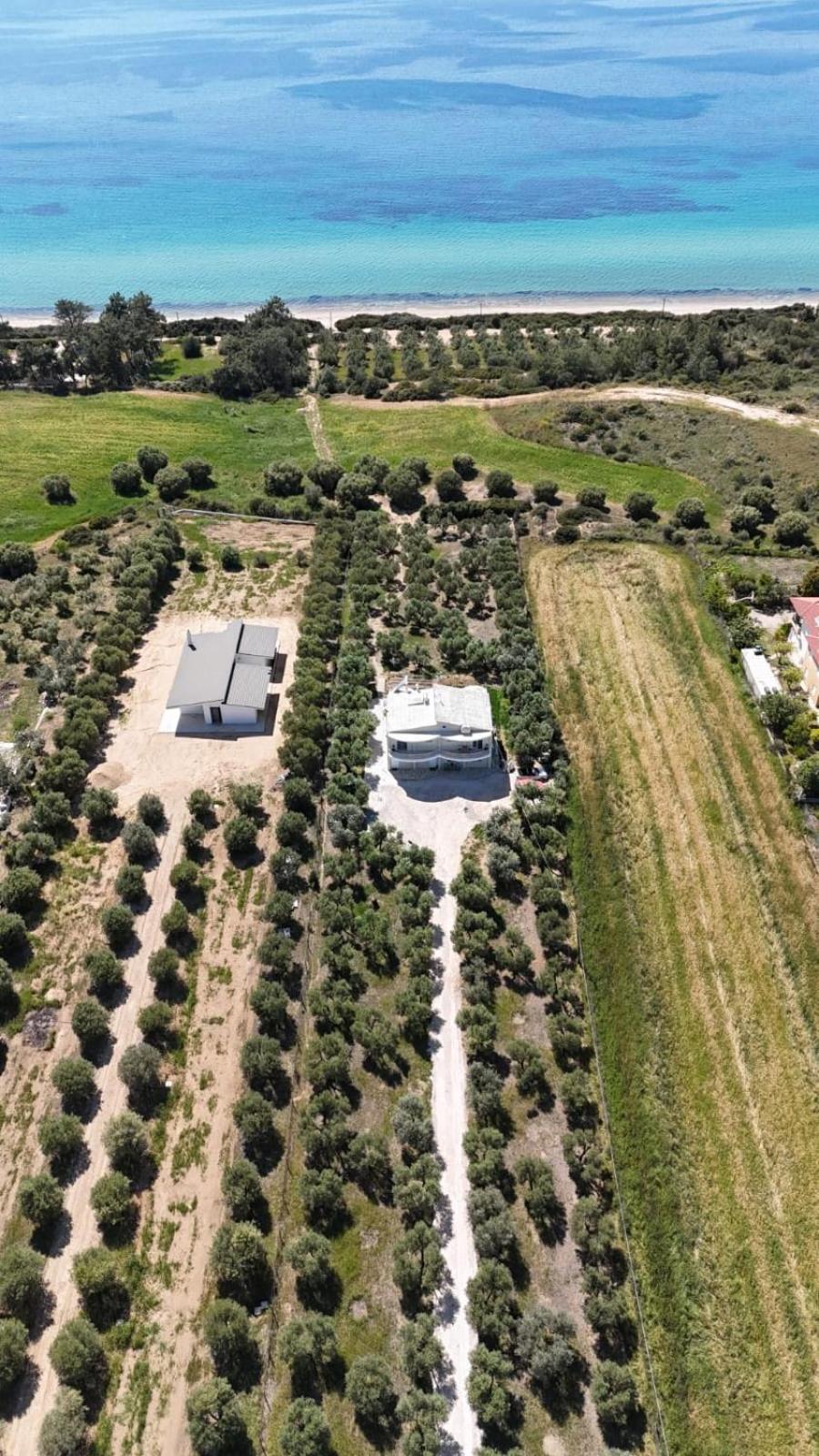 Villa Olymp